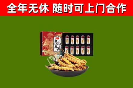 西峰回收冬虫夏草价格